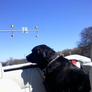 Meet your Posher, Catherine